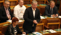 Gyurcsány a felhatalmazási törvény vitáján: 