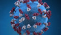Már több mint 420 ezren betegedtek meg a koronavírus miatt világszerte