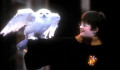 Kína Harry Potterrel és Bosszúállókkal töltené fel újra a mozikat