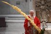 A mulandó helyett a valóban lényeges meglátására szólított fel a pápa Virágvasárnap