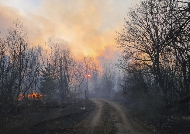 Erdőtűz a csernobili atomerőmű körüli lezárt területen fekvő falu, Volodimirivka közelében 2020. április 5-én.