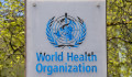 A WHO azt tanácsolja Ukrajnának, semmisítsék meg az egészségügyi laborokban tartott kórokozókat