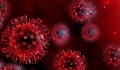 Koronavírus: 115-en haltak meg az elmúlt 24 órában