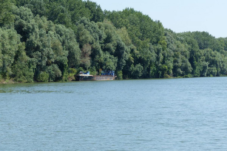 Hígul a nehézfémszennyezés a Tiszán