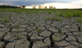 Olyan szárazság tombol Belgiumban, hogy korlátozni kell a vízhasználatot