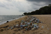 Tizenhat kiló műanyagszemetet találtak egy csőröscet gyomrában