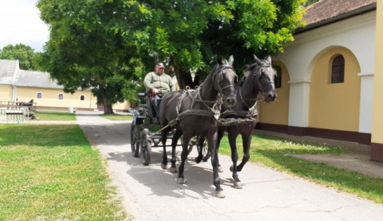 Lázár János eddig semmit sem bizonyított, de sokat költött