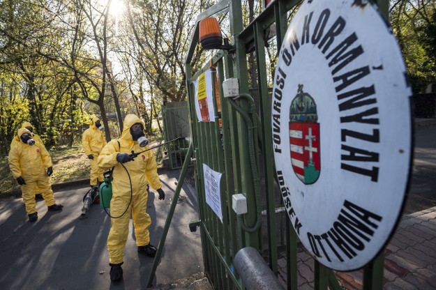 Katona fertőtlenít a fővárosi önkormányzat Pesti úti idősotthona bejáratánál 2020. április 12-én