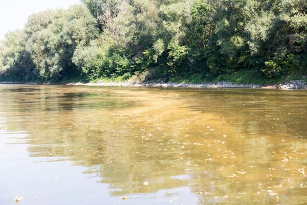 Árad a Tisza, a napokban tetőzik a Duna