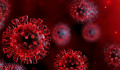 7 új koronavírus-fertőzöttet azonosítottak Magyarországon