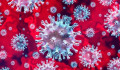 Öt új koronavírus-fertőzöttet azonosítottak