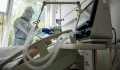 A magyar koronavírusos betegek negyede kórházban kapta el a vírust