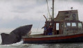Vízre száll A cápa című film híres hajója