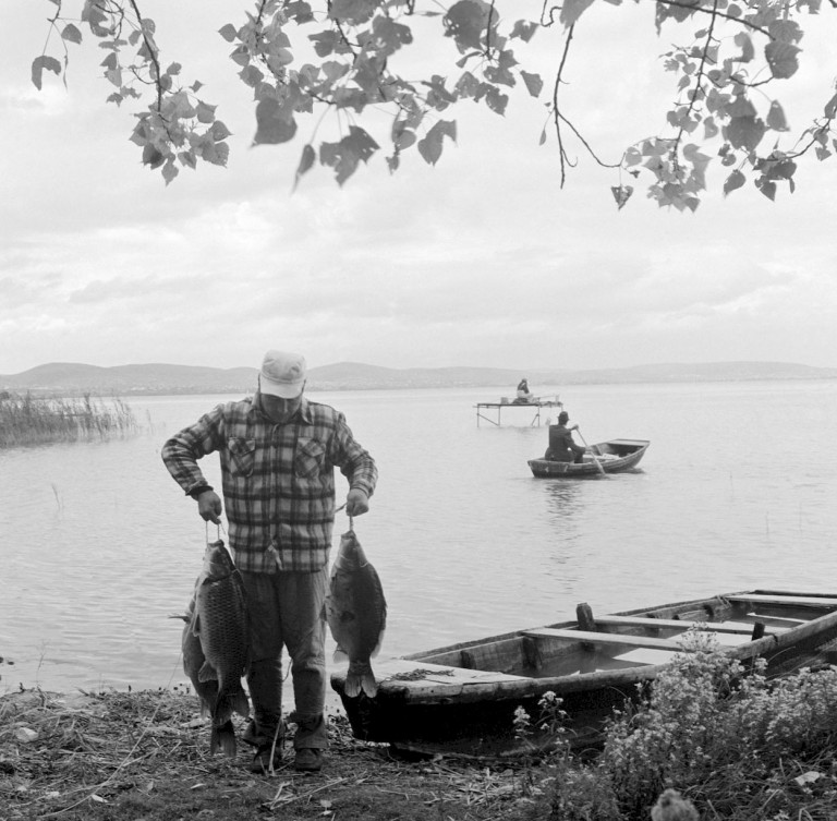 Művészek és tolvajok        