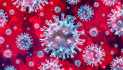 Koronavírus: 33 fővel emelkedett a beazonosított fertőzöttek száma