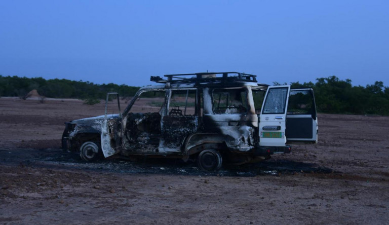 Francia zsiráfnéző turistákat és helyi segítőiket mészároltak le fegyveresek Nigerben