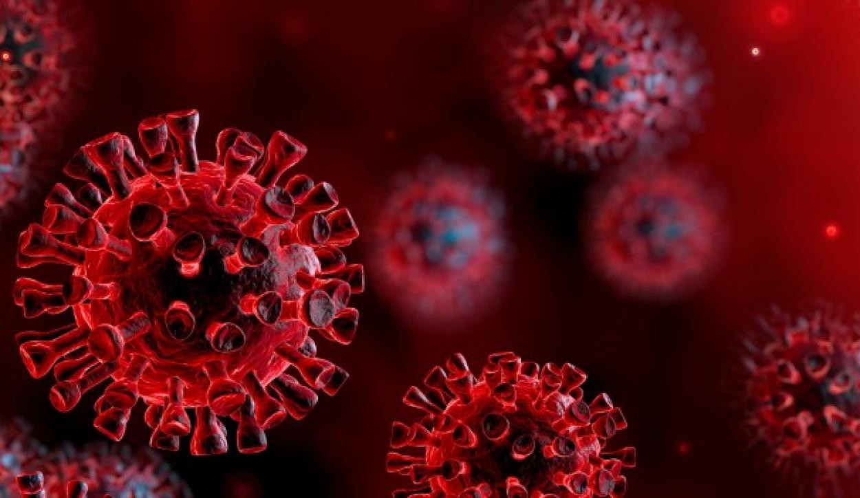 Koronavírus: egy elhunyt, 24 újabb fertőzött Magyarországon