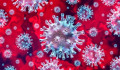 Koronavírus: 32 fővel emelkedett az azonosított fertőzöttek száma