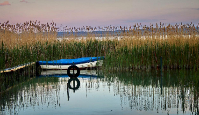 A szélsőséges időjárás hatására jobban algásodhat a Balaton