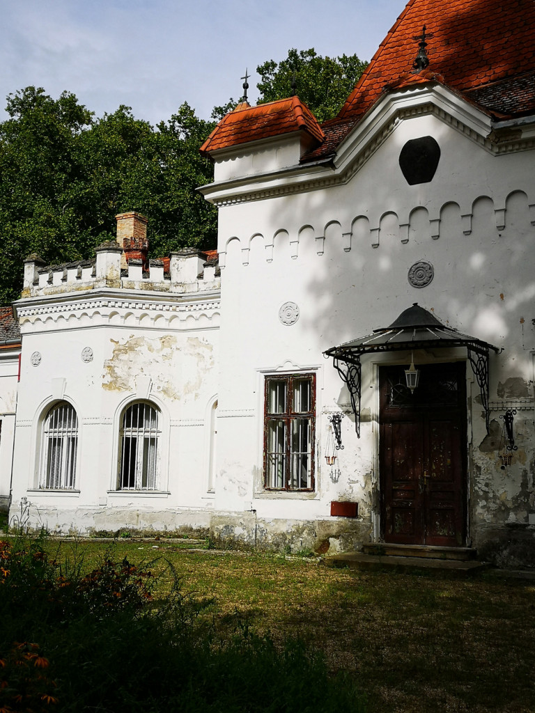 Romok a vadonban