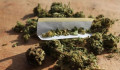 Nyolc kiló marihuánát foglaltak le a rendőrök egy szegvári tanyán