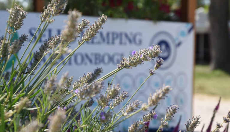 Egymilliárdért árulja a balatonboglári kempinget az állam