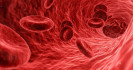 Úgy tűnik, a nullás vércsoport egyfajta védelmet jelent a koronavírussal szemben