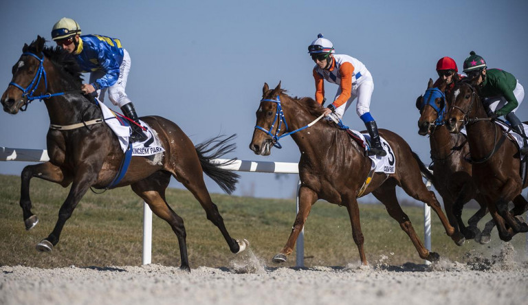 Bunda vagy állatvédelem? – Megbuherálták a derbit