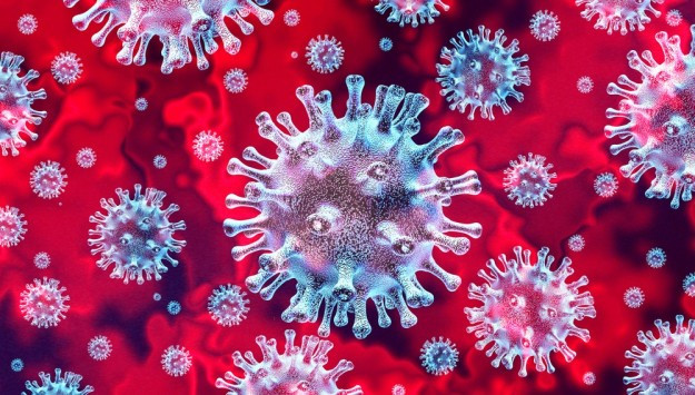 Blikk: szeptember óta hét tanár halt bele a koronavírus szövődményeibe