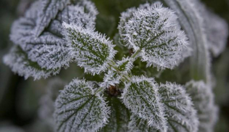 Fagy volt a Bükkben, -3,7 fokot mértek