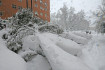80 ezer fát kell kivágni Madridban a hatalmas havazás miatt