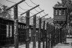 Vádat emeltek az egykori stutthofi náci koncentrációs tábor titkárnője ellen