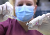 Koronavírus: Az Egyesült Államokban megkezdték az öt év alatti gyerekek beoltását