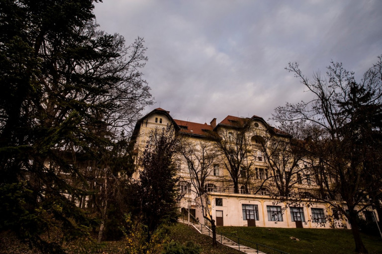 Leírták, hogy viselkedik a kissejtes tüdőrák