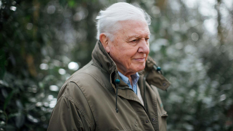 A 95 éves Sir David Attenborough előtt tiszteleg a BBC