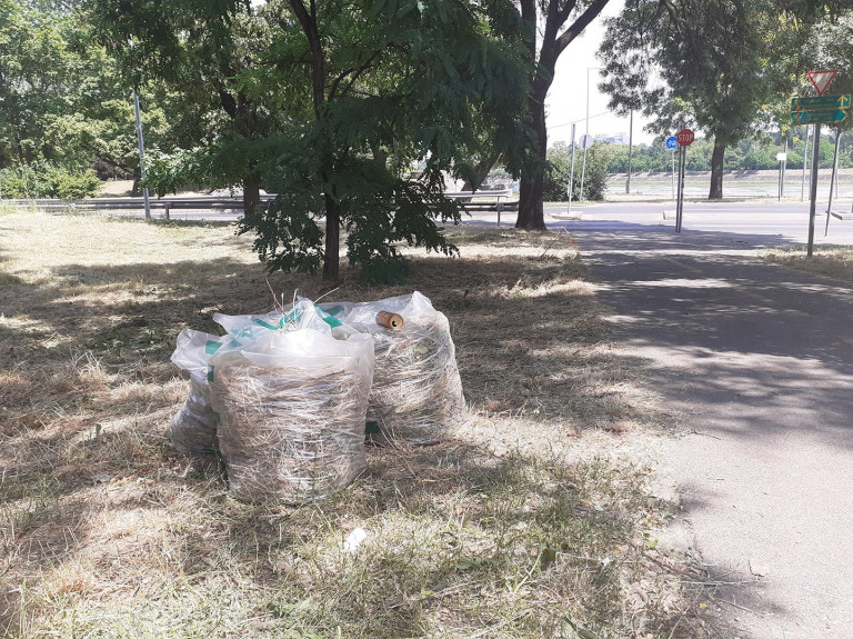 Egy fába is belevágtak a méhlegelőt lekaszáló fidelitasosok