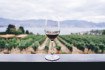 Mészáros Lőrinc borásza bordeaux-i szőlőbirtokot vásárolt