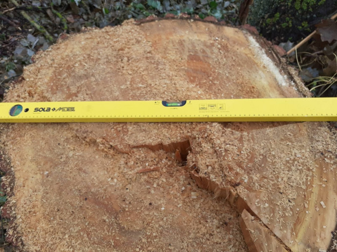 Mécsest is tettek a kivágott fa csonkjára a tihanyiak