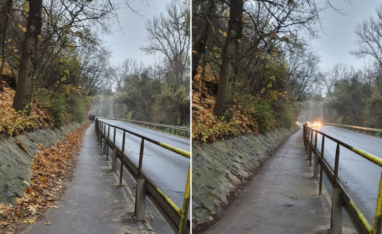 Önkéntesek takarították le a bicikliutat Vác és Verőce között