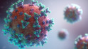WHO: Eddig nem látott gyorsasággal terjed a koronavírus omikron variánsa