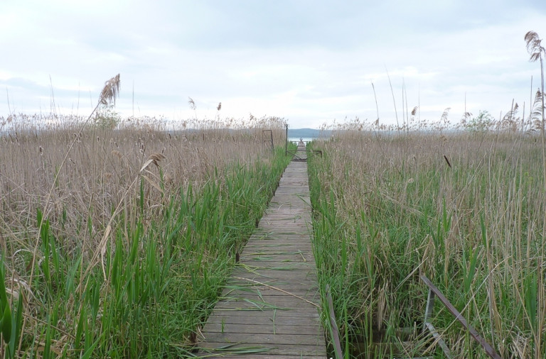 Vesztésre áll a Balaton a természetkárosítókkal szemben