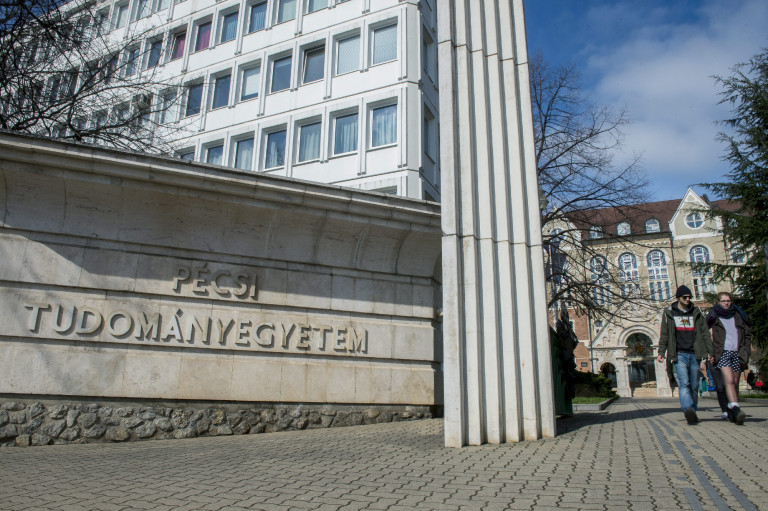 A PTE tanársegédje elismerte, hogy baráti szívesességet tett Schadl György kérésére