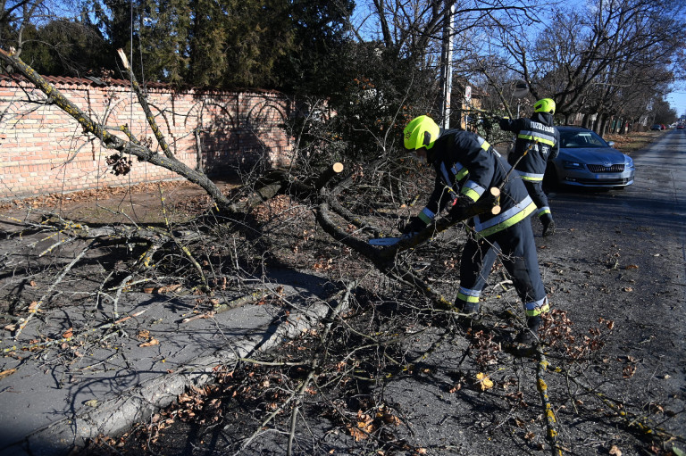 Szélvihar: 4-5000 kárbejelentés érkezett eddig a biztosítókhoz