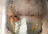 Peking: Elnapolták a férfi lesiklást az óriási szél miatt