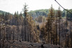 Fotókon a bükki erdőtűz pusztítása