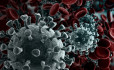 Bulgária szeptembertől úgy kezeli a koronavírust, mint az influenzát