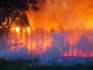 Erdőtűz pusztított Soltszentimre közelében, egy halálos áldozat is van