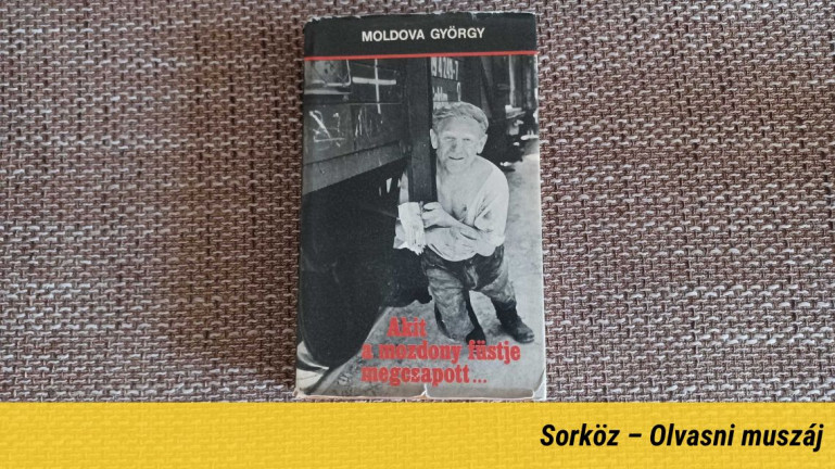 A MÁV a szocializmusban is rettenetesen működő üzem volt