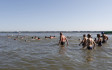 Elmarad a Tisza-tó átevezés és átúszás az alacsony vízállás miat