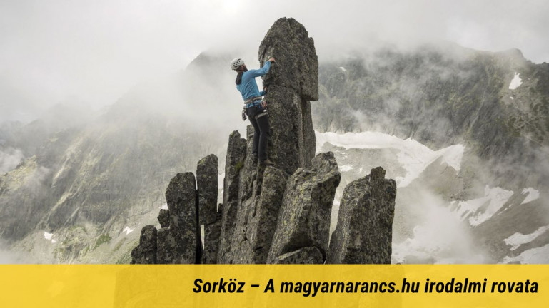 Nagymama sírját beszántották, tehenek legelnek rajta